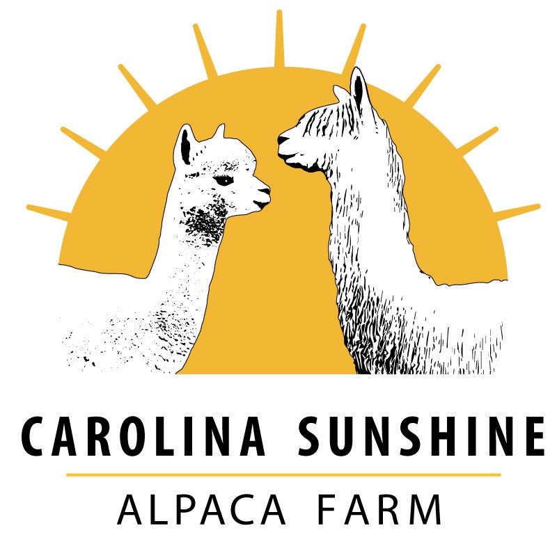 Home Carolina Sunshine Alpaca Farm